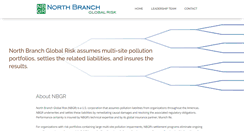 Desktop Screenshot of nbgr.com